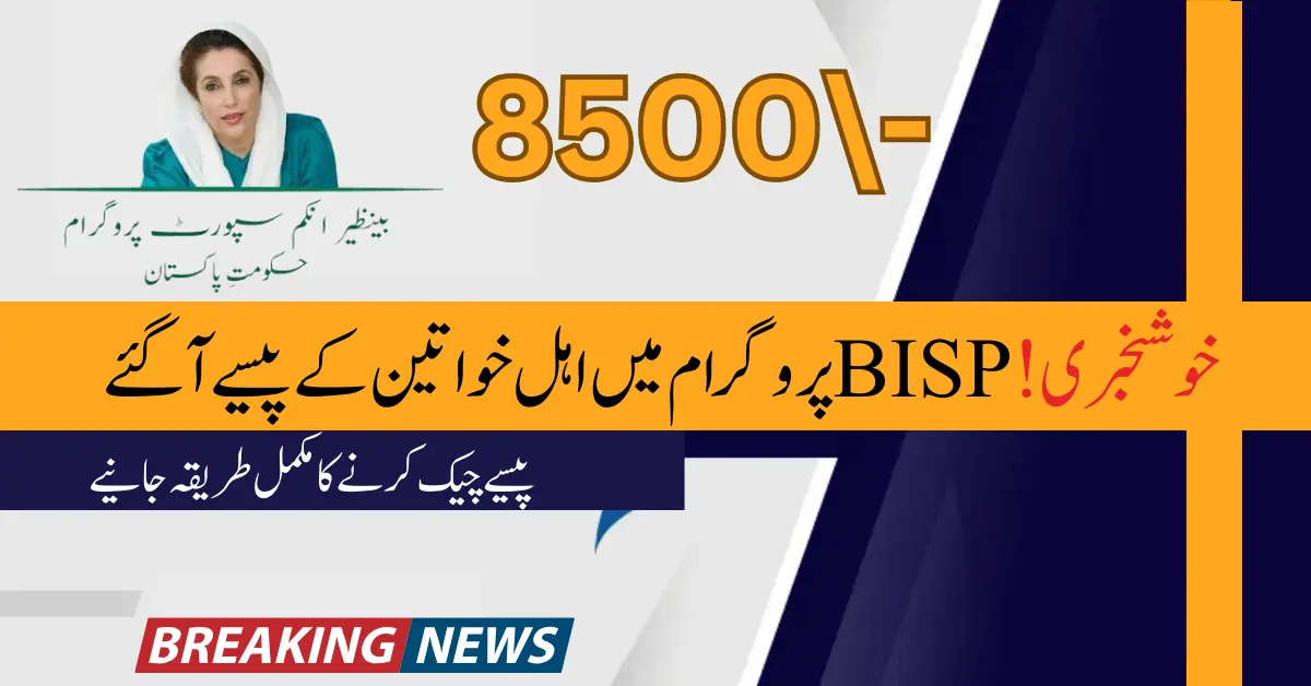 BISP 8171 Result Check Online By CNIC 2024 Update