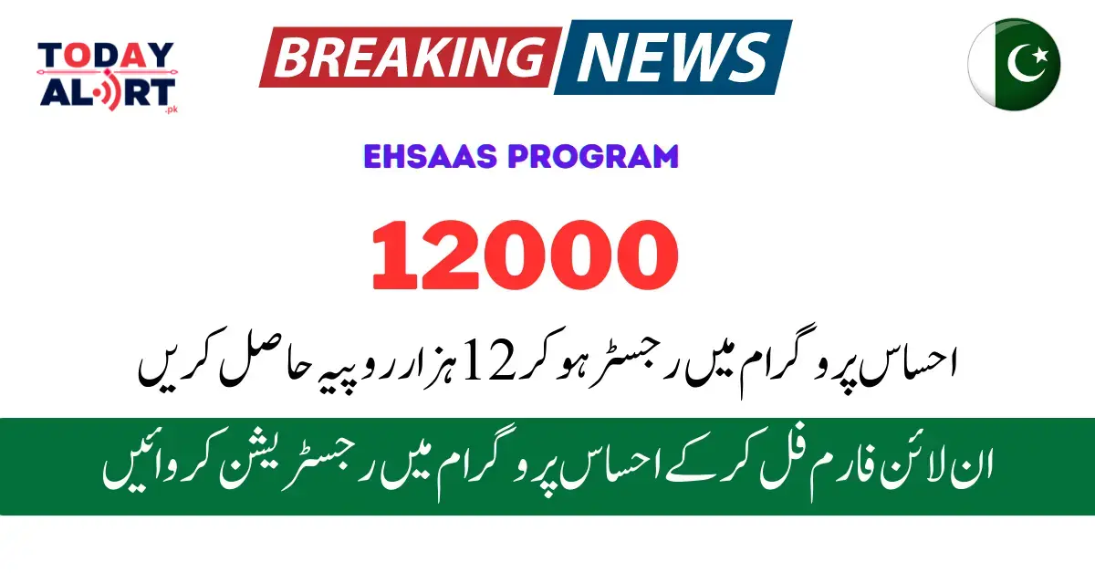 Ehsaas Program 12000 Online Check 8171 New Update 2024