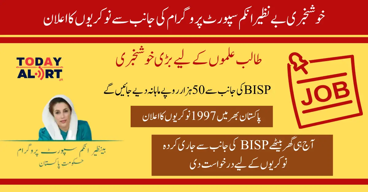 BISP Jobs: BISP 1997 New Contract basis Jobs August 2024