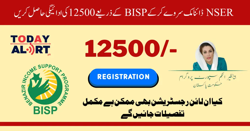 Get 12500 Payment through BISP By Doing 8171 NSER Dynamic Survey