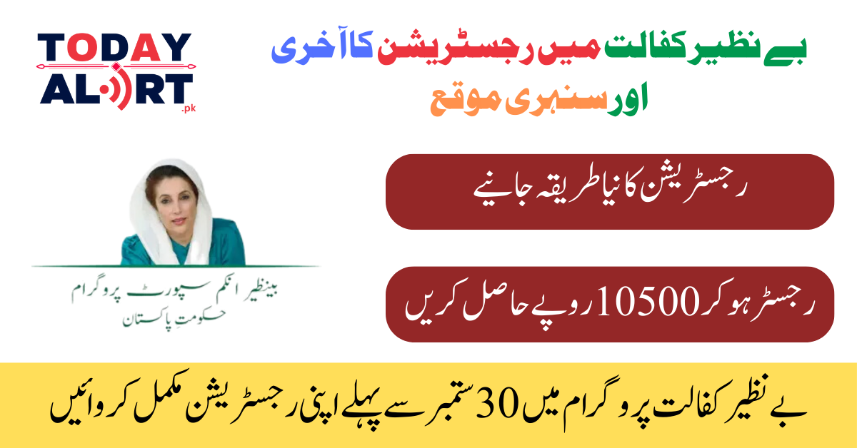 Last and Golden Chance To Register in 8171 Benazir Kafalat Grant