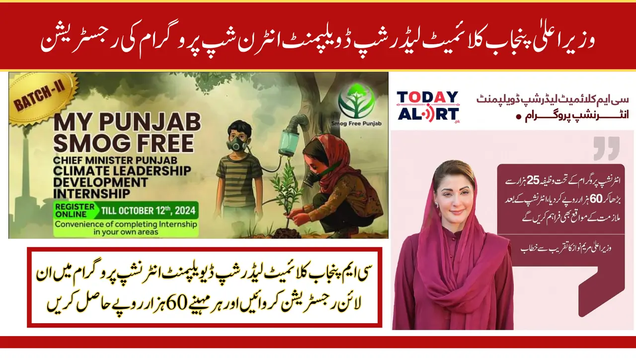 CM Punjab Climate Leadership Development Internship Program Batch II Complete Process