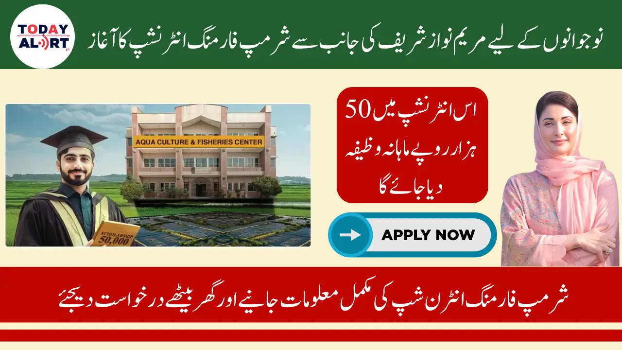 Punjab Aqua Shrimp Farming Internship Program By Maryam Nawaz Sharif For Young Graduates