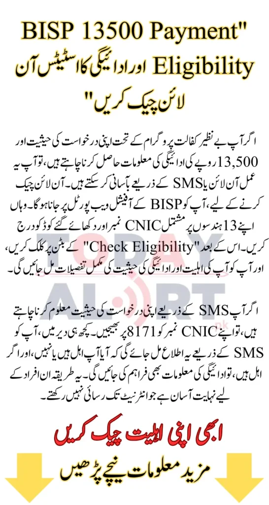 BISP 13500 Payment Eligibility 2025: How to Check Your Status and Payment