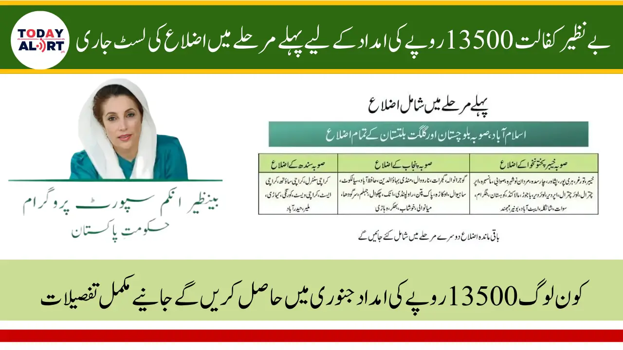 Benazir Support Initiative 2025 Districts, Registration and Eligibility Details