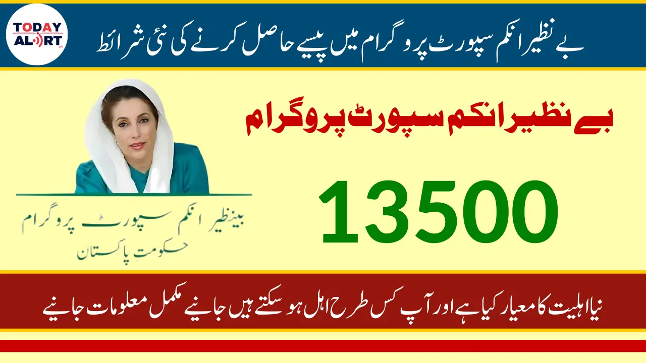 BISP 13500 Payment Eligibility 2025: Who Qualifies?