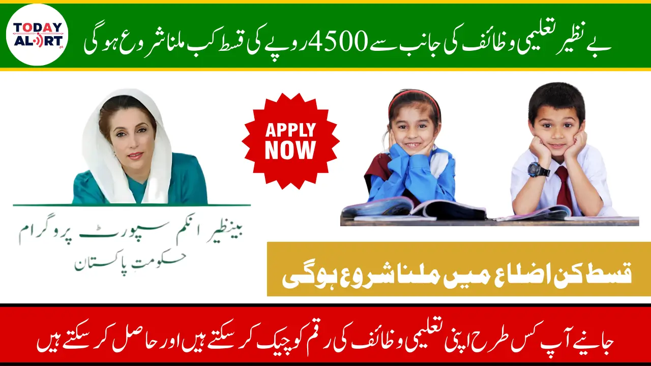 Benazir Taleemi Wazaaif 2025 Stipend Districts for February 2025 Payment