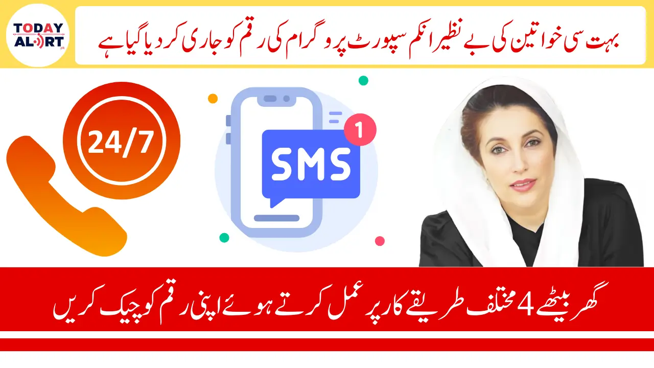 BISP 8171 Payment Check Through 4 Easy Methods Latest Update