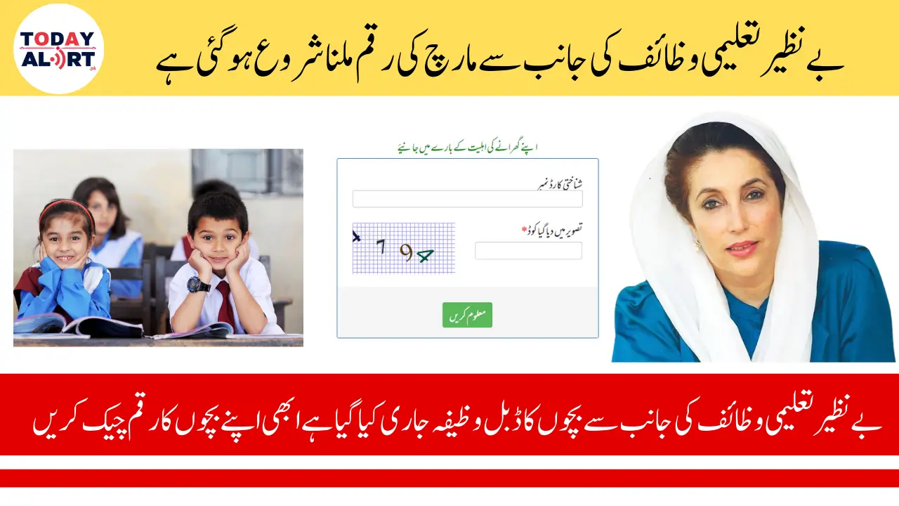 Benazir Taleemi Wazaif March Payment Check Online Via Mother's CNIC