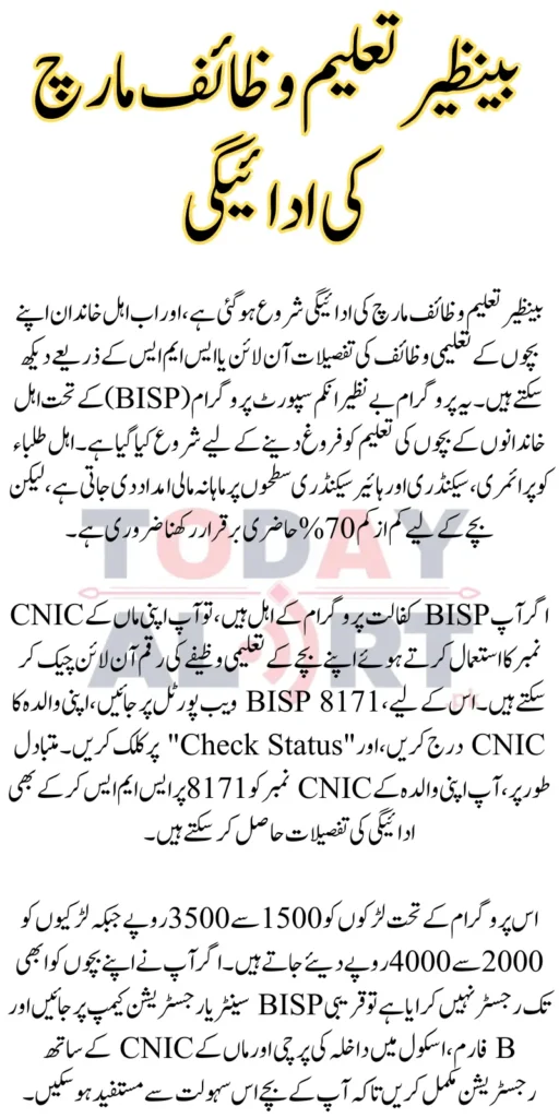 Benazir Taleemi Wazaif March Payment Check Online Via Mother's CNIC